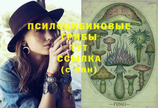 метадон Аркадак