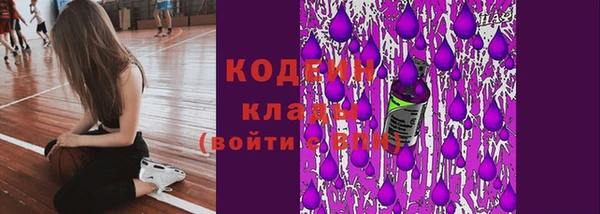 spice Арсеньев